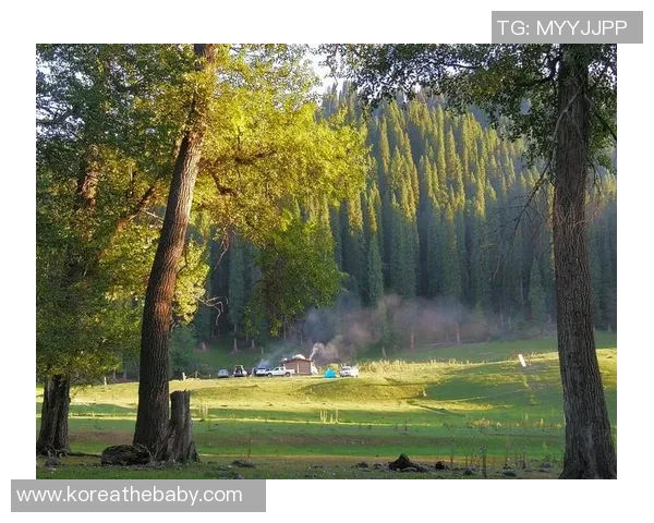 朗斯对阵图尔精彩直播全程回顾与赛后分析尽在这里