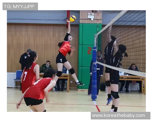 权威发布：2023年排球运动员耐力实力排行榜全面解读与分析